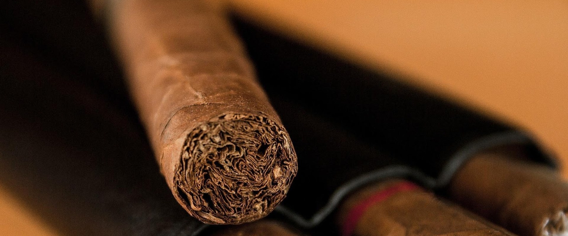 What is a Cigar Made Of? An Expert's Guide