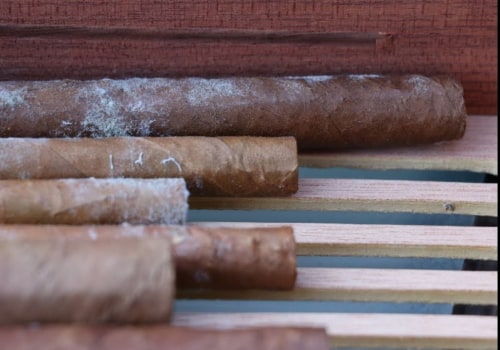 How to Tell if a Cigar is Fresh or Not